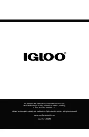 Igloo