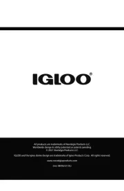 Igloo