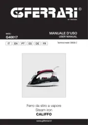 G3 Ferrari