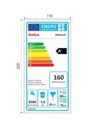 Amica