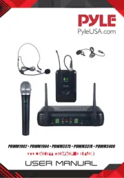 Pyle