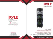 Pyle