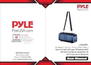 Pyle