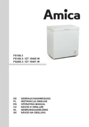 Amica