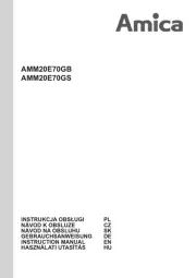 Amica