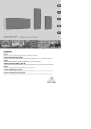 Behringer