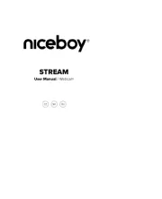 Niceboy