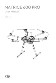 DJI