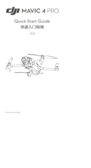 DJI