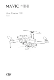 DJI