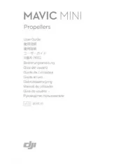 DJI