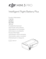 DJI