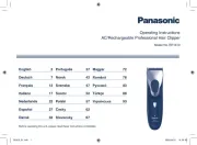 Panasonic
