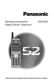 Panasonic