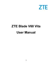 ZTE