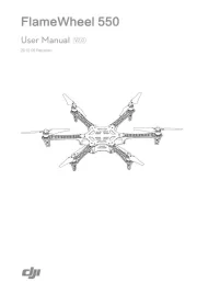 DJI