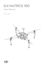 DJI