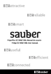 Sauber
