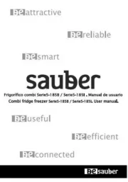 Sauber