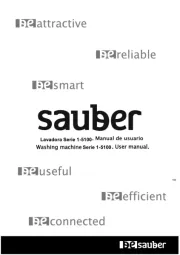 Sauber