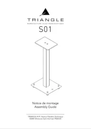 Triangle