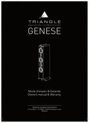 Triangle