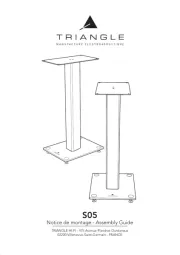 Triangle