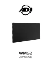 American DJ