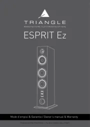 Triangle