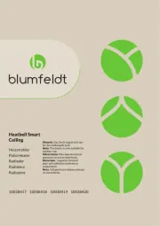 Blumfeldt