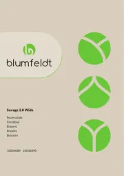 Blumfeldt
