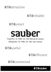 Sauber