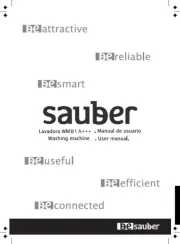 Sauber