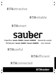 Sauber