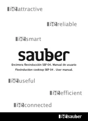 Sauber