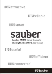 Sauber