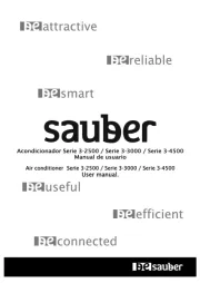 Sauber