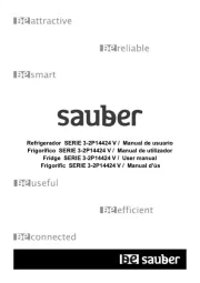Sauber