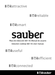 Sauber