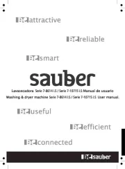 Sauber