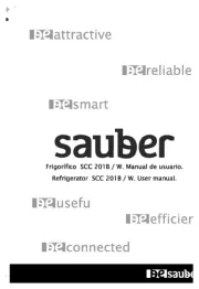 Sauber