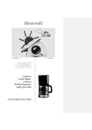 Brandt