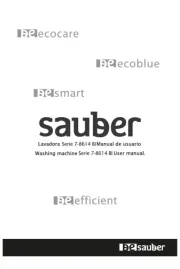 Sauber