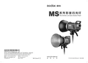Godox