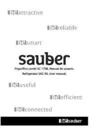Sauber