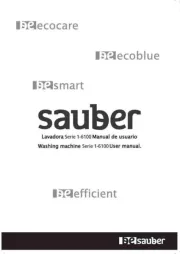 Sauber