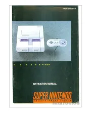 Nintendo