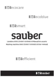 Sauber