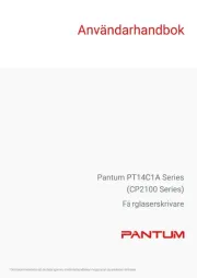Pantum
