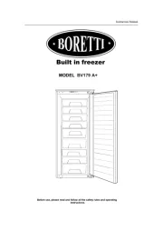Boretti